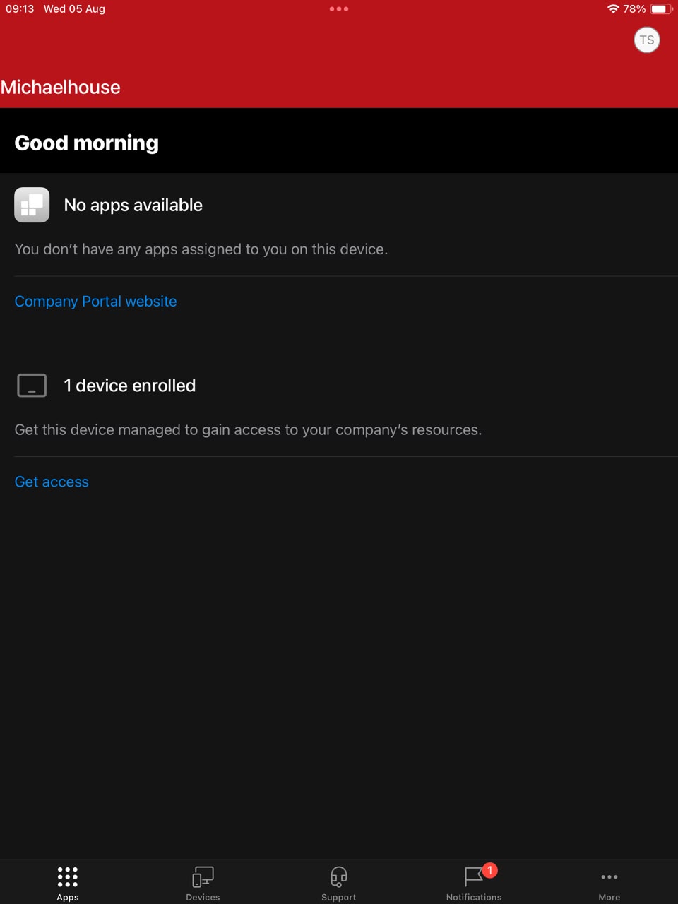 Company Portal home — tap Get access